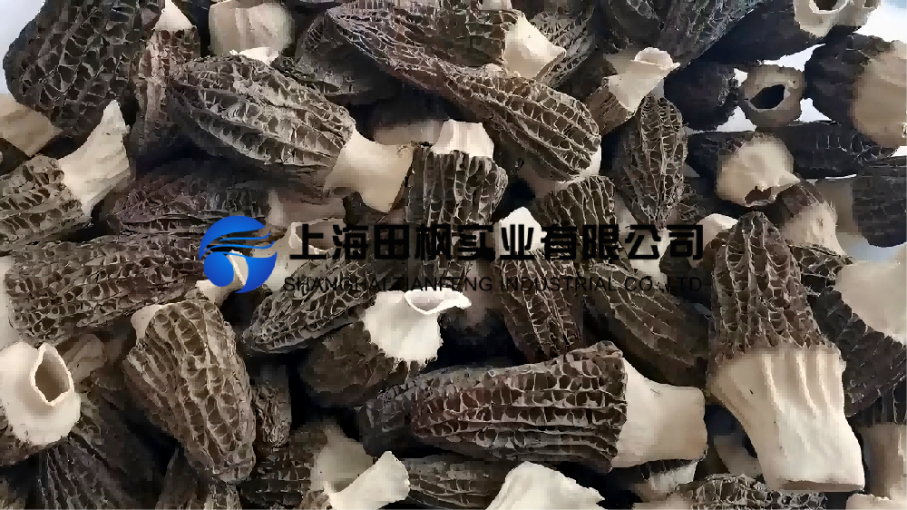 企業微信截圖_17484801789059(1)(1).png